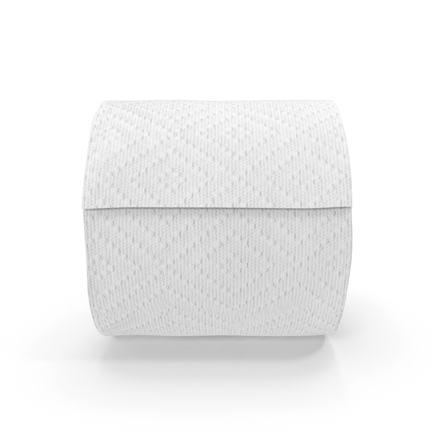 Toilet Paper