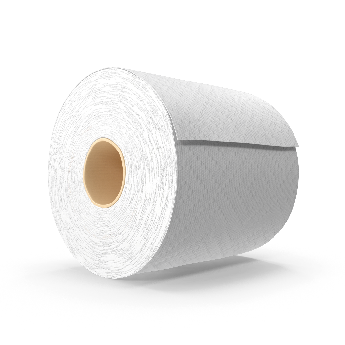 Toilet Paper